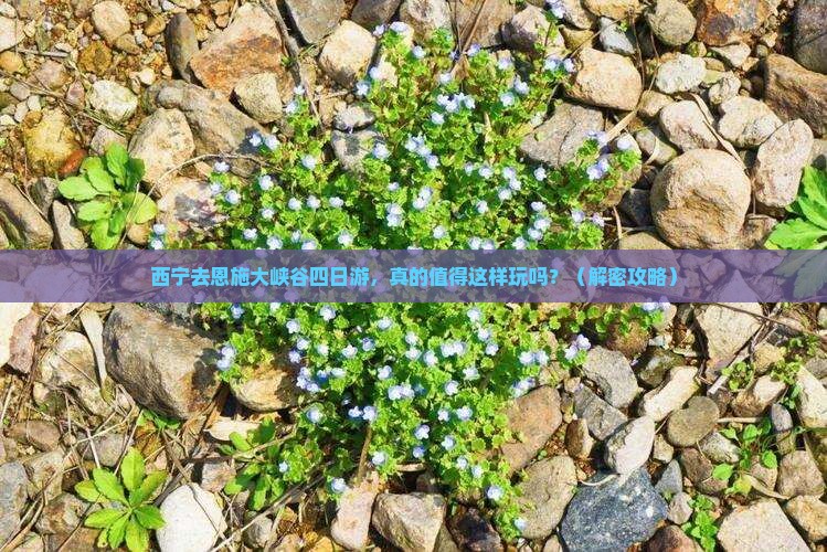 西宁去恩施大峡谷四日游