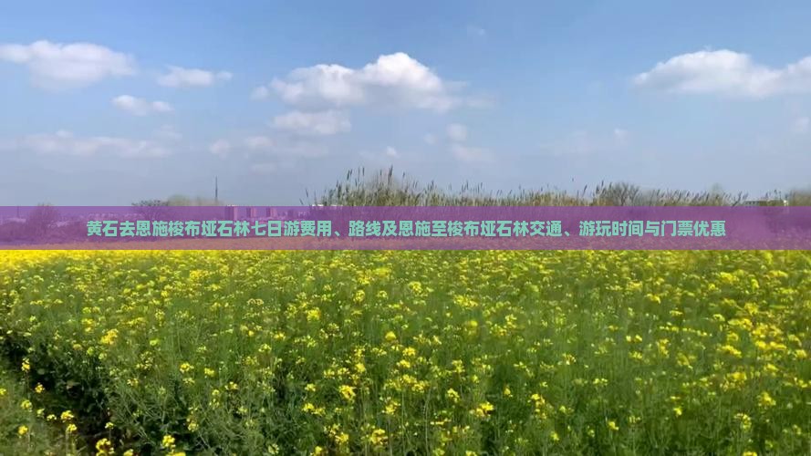 黄石去恩施梭布垭石林七日游