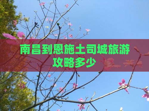 南昌去恩施土司城门票