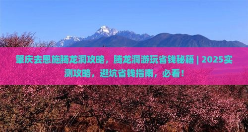 肇庆去恩施腾龙洞攻略
