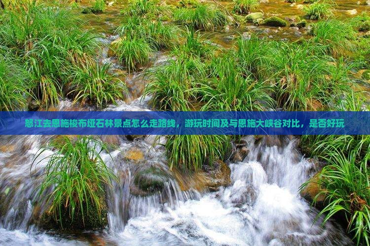 怒江去恩施梭布垭石林景点