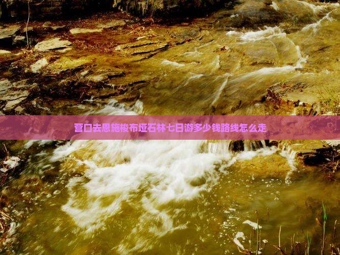 营口去恩施梭布垭石林七日游