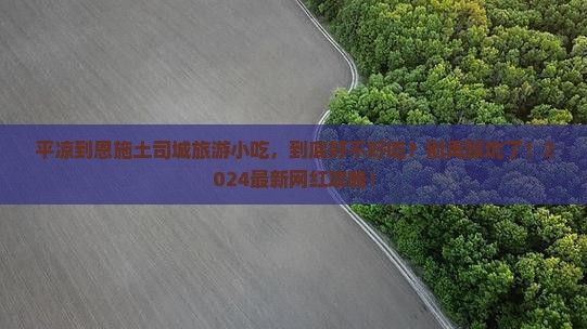 平凉到恩施土司城旅游小吃
