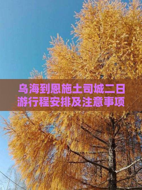 乌海到恩施土司城二日游