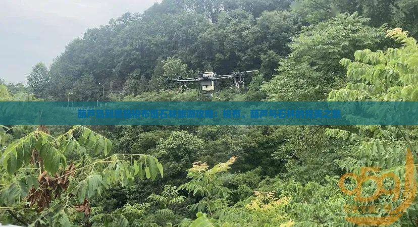 葫芦岛到恩施梭布垭石林旅游