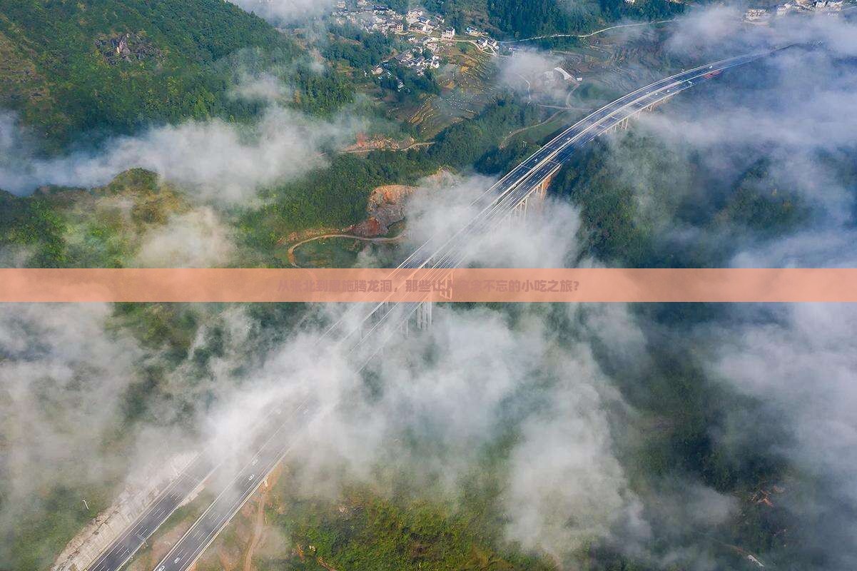 张北去恩施腾龙洞旅游小吃