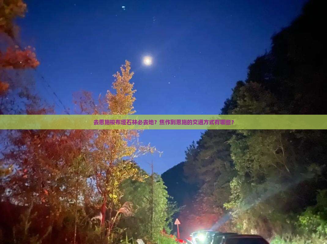 焦作去恩施梭布垭石林必去地