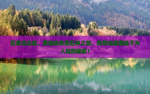 石家庄去恩施梭布垭石林旅行社