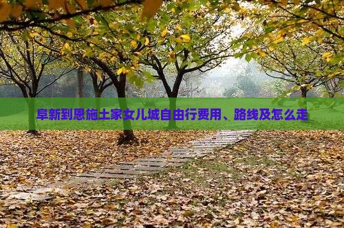 阜新到恩施土家女儿城自由行
