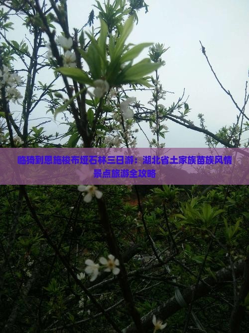 临猗到恩施梭布垭石林三日游