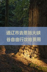 通辽市去恩施大峡谷自由行