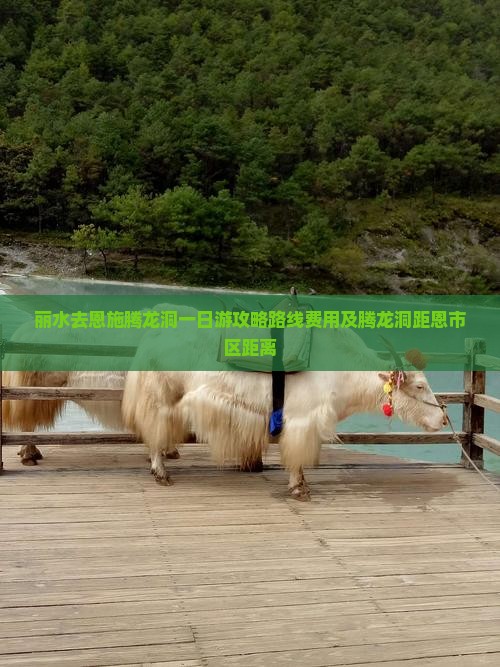 丽水去恩施腾龙洞一日