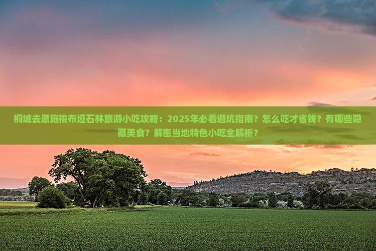 桐城去恩施梭布垭石林旅游小吃