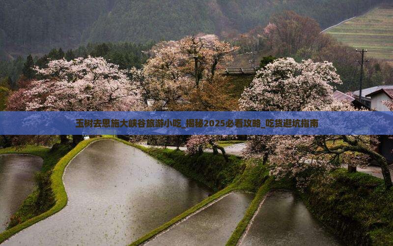 玉树去恩施大峡谷旅游小吃