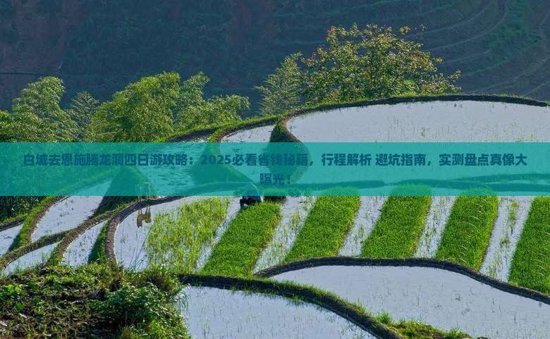 白城去恩施腾龙洞四日游
