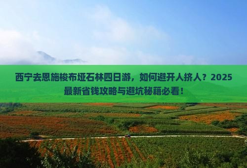 西宁去恩施梭布垭石林四日游