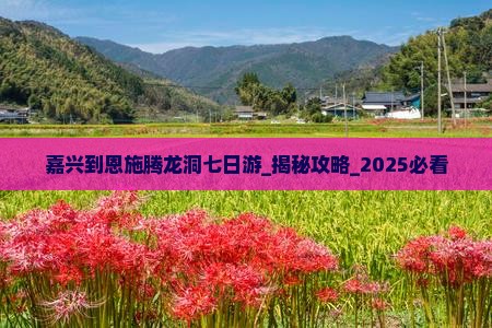 嘉兴到恩施腾龙洞七日游