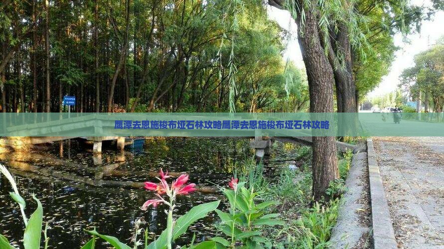 鹰潭去恩施梭布垭石林攻略