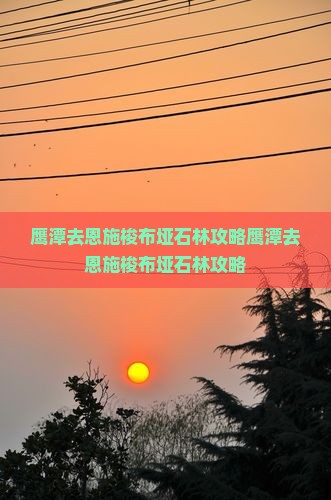 鹰潭去恩施梭布垭石林攻略