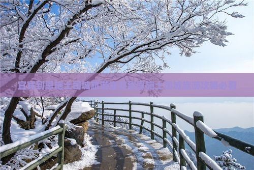 宜宾到恩施土司城旅游