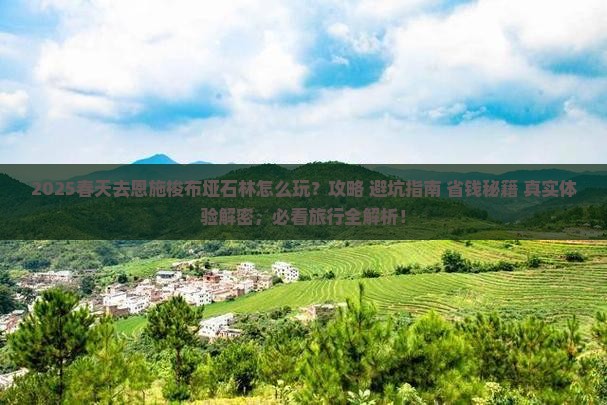 春天去恩施梭布垭石林团体旅游