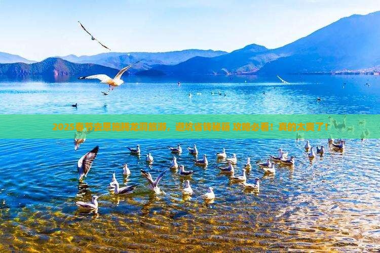 春节去恩施腾龙洞旅游