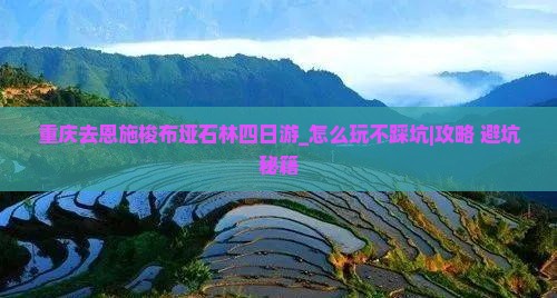 重庆去恩施梭布垭石林四日游