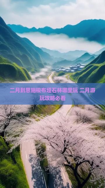 二月到恩施梭布垭石林哪里玩
