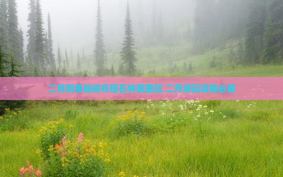 二月到恩施梭布垭石林哪里玩