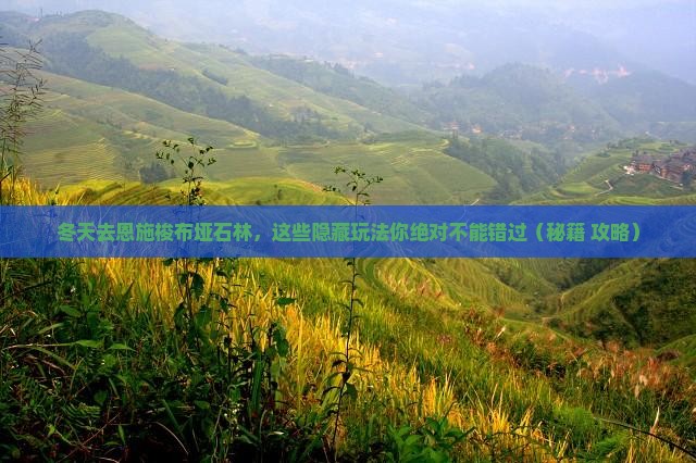 冬天到恩施梭布垭石林必去地