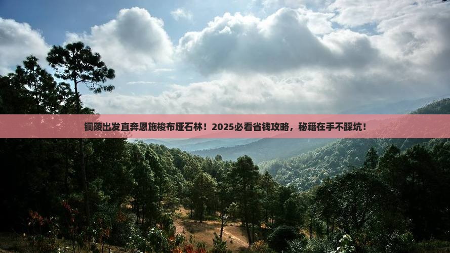 铜陵去恩施梭布垭石林大型旅游团