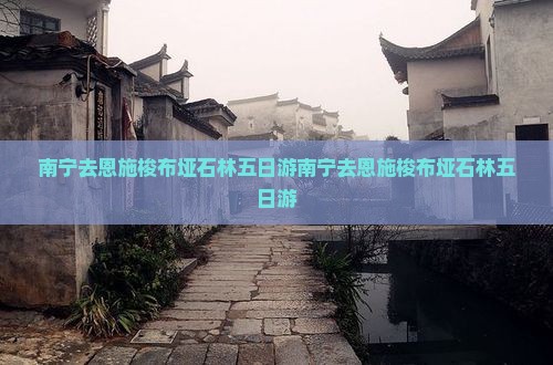 南宁去恩施梭布垭石林五日游