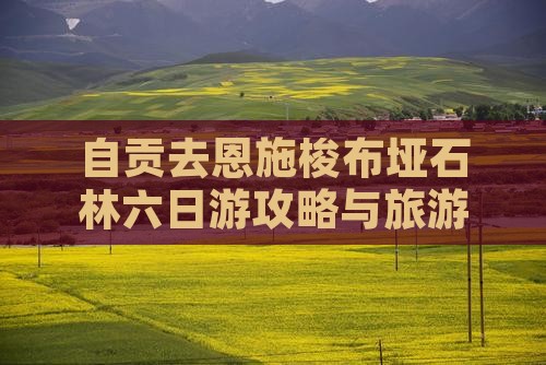 自贡去恩施梭布垭石林六日游
