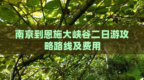 南京到恩施大峡谷二日游 南京到恩施大峡谷二日游