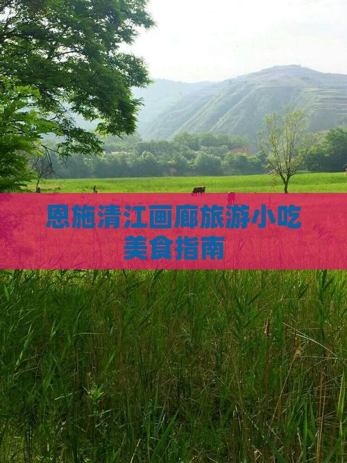 衡水去恩施清江画廊旅游小吃