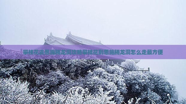 攀枝花去恩施腾龙洞攻略