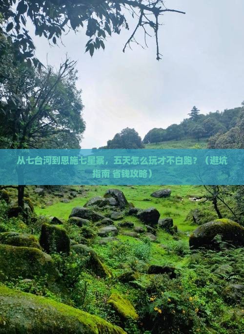 七台河去恩施七星寨五日游