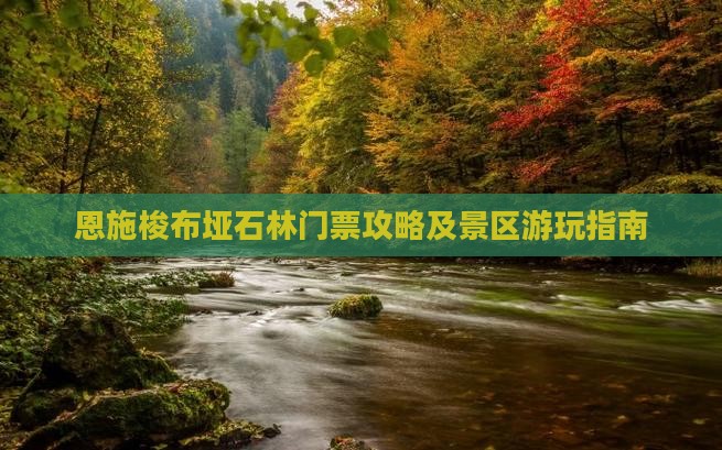 德州到恩施梭布垭石林门票