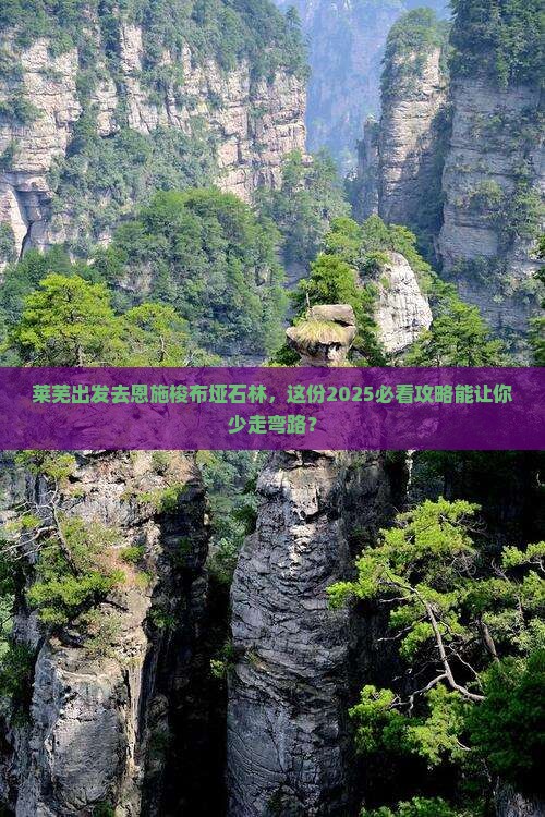 莱芜去恩施梭布垭石林二日游