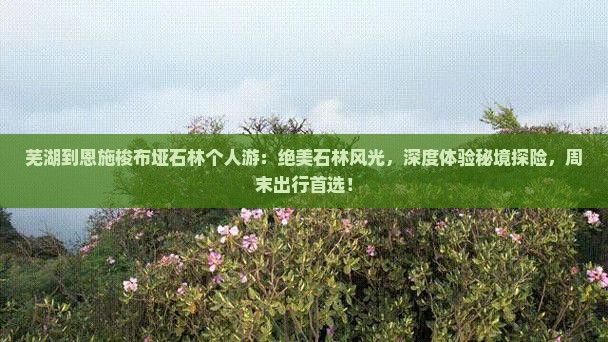芜湖到恩施梭布垭石林个人游