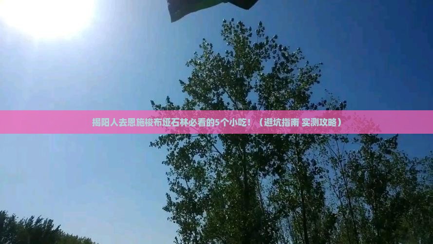揭阳去恩施梭布垭石林旅游小吃