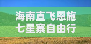 海南直飞恩施七星寨自由行旅游团
