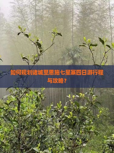 如何规划诸城至恩施七星寨四日游行程与攻略？
