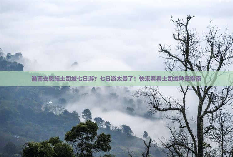 淮南去恩施土司城七日游？七日游太贵了！快来看看土司城种草指南