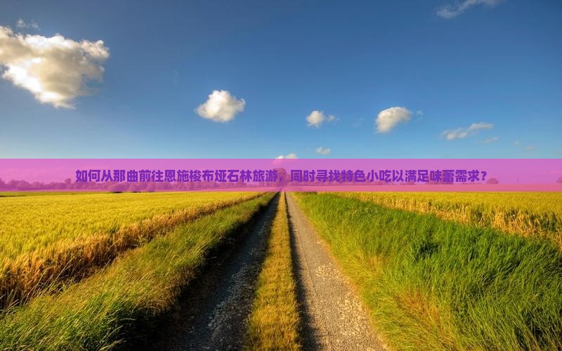 如何从那曲前往恩施梭布垭石林旅游，同时寻找特色小吃以满足味蕾需求？