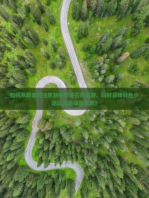 如何从那曲前往恩施梭布垭石林旅游，同时寻找特色小吃以满足味蕾需求？