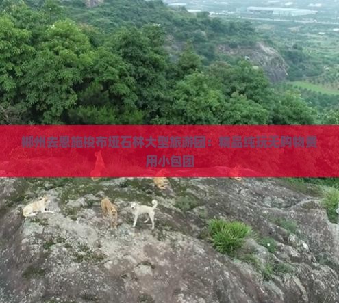郴州去恩施梭布垭石林大型旅游团：精品纯玩无购物费用小包团