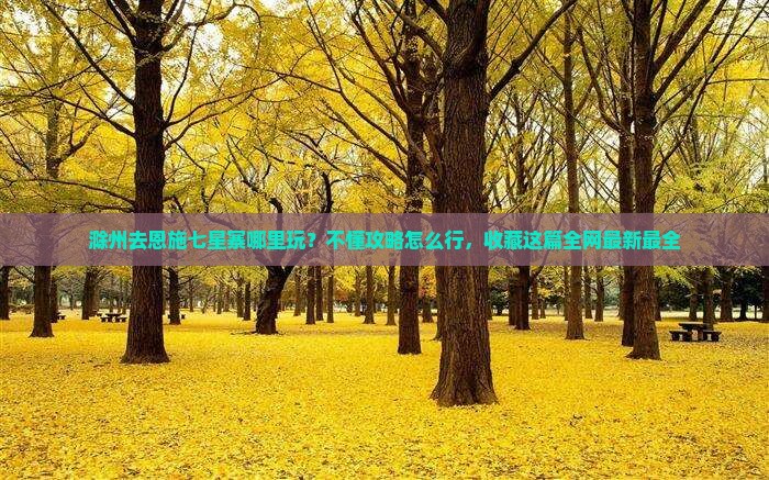 滁州去恩施七星寨哪里玩？不懂攻略怎么行，收藏这篇全网最新最全