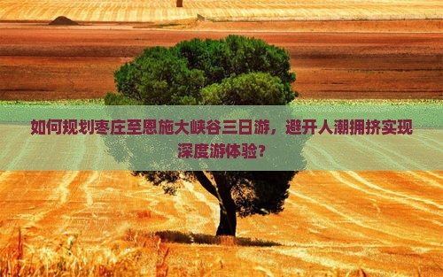 如何规划枣庄至恩施大峡谷三日游，避开人潮拥挤实现深度游体验？