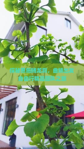 探秘恩施腾龙洞，曲靖出发自由行精品团队之旅